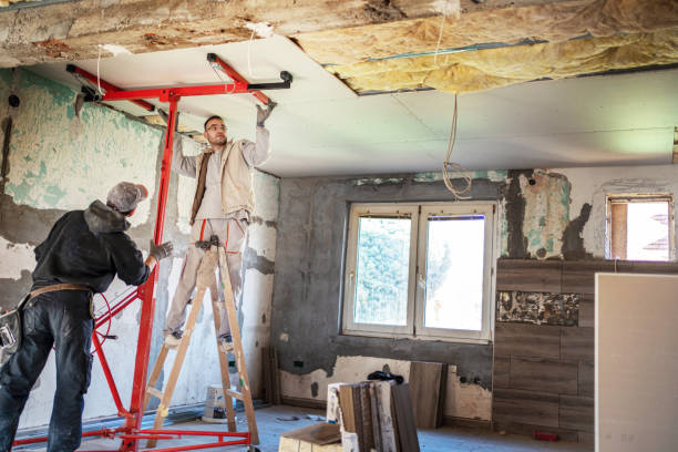 Best Cellulose Insulation in Gorman, NC