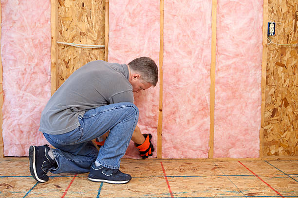 Best Spray Foam Insulation in Gorman, NC